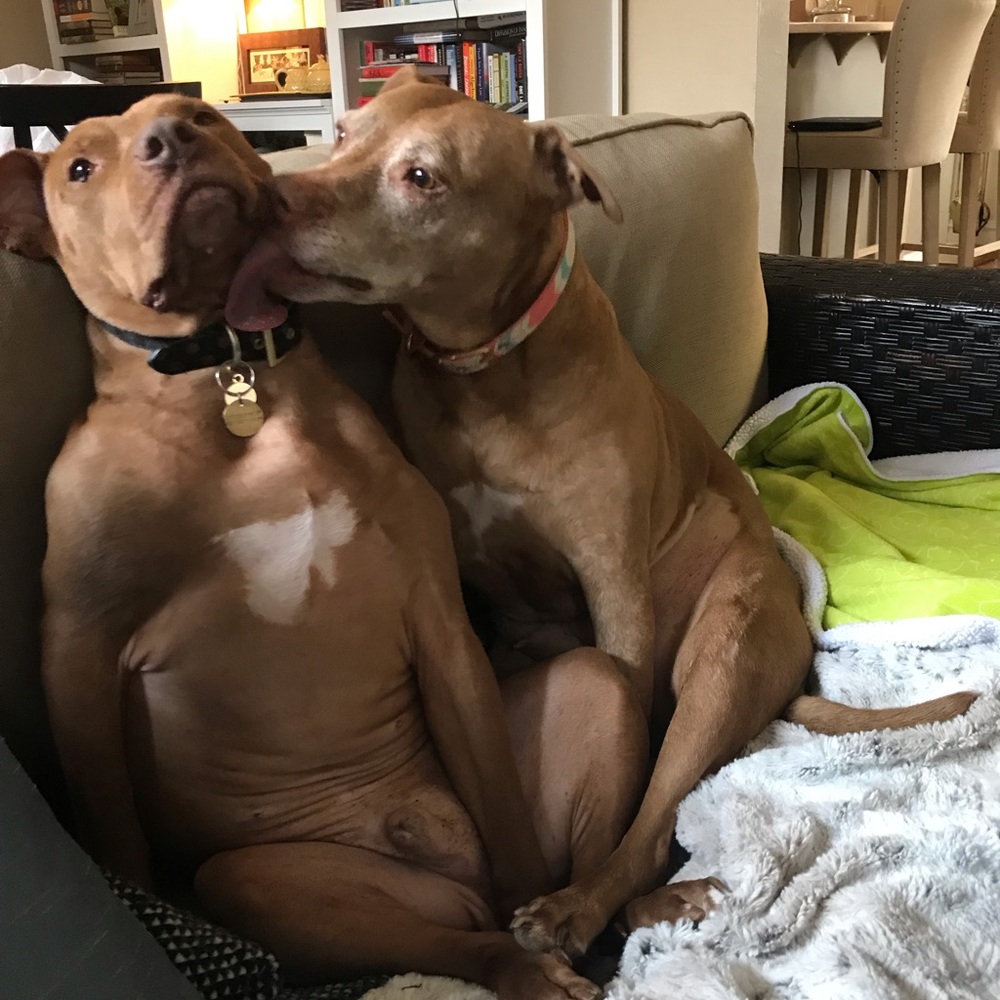 Hey there! - Picture 6 of 7
